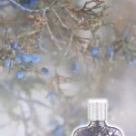 عطر ادکلن توملت پور هوم کریستین لاکروآ - Tumulte pour Homme Christian Lacroix - بررسی، قیمت و خرید