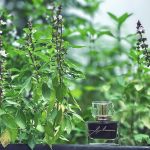 عطر ادکلن سلون دی تی آنجلس کریشنز الفکتیوز - Salon dt Angelos Créations Olfactives - بررسی، قیمت و خرید