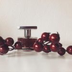 عطر ادکلن رز کات اَن ژرارد - Rose Cut Ann Gerard - بررسی، قیمت و خرید