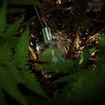 عطر ادکلن سنت فور: یویوگی کوم د گارسون - Scent Four: Yoyogi Comme des Garcons - بررسی، قیمت و خرید