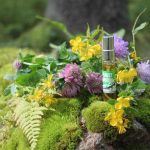 عطر ادکلن آروما کارلیا گرین آروما کرلیا - Aroma Karelia Green (Аромат Карелии - Зеленый) Aroma Karelia - بررسی، قیمت و خرید