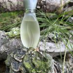 عطر ادکلن کافه کافه پور اُم کافه پارفومز - Cafe-Cafe pour Homme Cafe Parfums - بررسی، قیمت و خرید