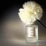 عطر ادکلن سدر کلوئه - Cedrus Chloé - بررسی، قیمت و خرید