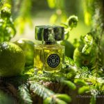 عطر ادکلن ساین تمپور آرته پرفیومی - Sine Tempore Arte Profumi - بررسی، قیمت و خرید