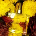 عطر ادکلن سلین دیون سلین دیون - Celine Dion Celine Dion - بررسی، قیمت و خرید