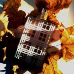 عطر ادکلن بربری بریت ادو تویلت بربری - Burberry Brit Eau de Toilette Burberry - بررسی، قیمت و خرید