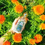 عطر ادکلن فلورال ماسک اتار کالکشن - Floral Musk Attar Collection - بررسی، قیمت و خرید