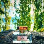 عطر ادکلن وایت ایژیا پرفیومز - White Asia Perfumes - بررسی، قیمت و خرید