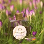 عطر ادکلن لاو این آیدلنِس اتکینسونز - Love in Idleness Atkinsons - بررسی، قیمت و خرید