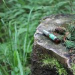 عطر ادکلن آروما کارلیا گرین آروما کرلیا - Aroma Karelia Green (Аромат Карелии - Зеленый) Aroma Karelia - بررسی، قیمت و خرید