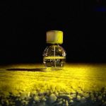 عطر ادکلن اکسانتریک موآ آرت د پارفوم - Excentrique Moi Art de Parfum - بررسی، قیمت و خرید