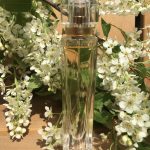 عطر ادکلن سالومه کارلا فراچی - Salome' Carla Fracci - بررسی، قیمت و خرید