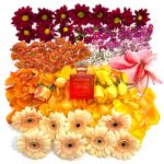 عطر ادکلن مورنینگز این میلانو بیرکهولتز - Mornings In Milano Birkholz - بررسی، قیمت و خرید