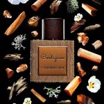 عطر ادکلن کانتیجیوس گلد کاترین اوما - Contagious Gold Catherine Omai - بررسی، قیمت و خرید