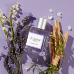 عطر ادکلن اسپرینگ بریز کلین - Spring Breeze Clean - بررسی، قیمت و خرید