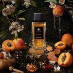 عطر ادکلن سانتا کروز کاسا اینویدیا - Santa Cruz Casa Invidia - بررسی، قیمت و خرید
