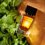 عطر ادکلن پرنیال امیر پرفیومز - Perennial Amer Perfumes - بررسی، قیمت و خرید