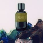 عطر ادکلن آمبره لیرکا برونلو کوچینلی - Ombra Lirica Brunello Cucinelli - بررسی، قیمت و خرید