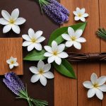 عطر ادکلن سیل آرتیستو - Ciel Artist'o - بررسی، قیمت و خرید
