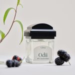 عطر ادکلن اودی چوی - Odii 오디 Chwi 취 - بررسی، قیمت و خرید