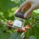 عطر ادکلن اودی چوی - Odii 오디 Chwi 취 - بررسی، قیمت و خرید
