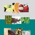 عطر ادکلن بایبلوس فیوژن بیبلوس - Byblos Fusion Byblos - بررسی، قیمت و خرید