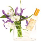 عطر ادکلن گرین تی اند وایولت آلوارز گومز - Green Tea and Violet Alvarez Gómez - بررسی، قیمت و خرید