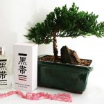 عطر ادکلن بِلَک بِلْت وُمَن بِلَک بِلت فِرَگرَنسِز - Black Belt Woman Black Belt Fragrances - بررسی، قیمت و خرید