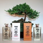 عطر ادکلن بِلَک بِلْت وُمَن بِلَک بِلت فِرَگرَنسِز - Black Belt Woman Black Belt Fragrances - بررسی، قیمت و خرید