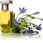 عطر ادکلن فوروکس بلاکی - For Walks Blocki - بررسی، قیمت و خرید