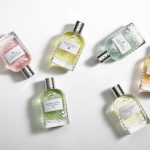 عطر ادکلن پآرکو پلادیانو وی: روزا بوتگا ونتا - Parco Palladiano VI: Rosa Bottega Veneta - بررسی، قیمت و خرید