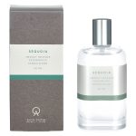 عطر ادکلن سکویا ابت نیویورک سیتی - Sequoia Abbott New York City - بررسی، قیمت و خرید