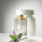عطر ادکلن پچولی دانگکور بوشِرون - Patchouli d’Angkor Boucheron - بررسی، قیمت و خرید