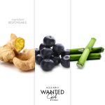 عطر ادکلن وانتد گرل تونیک آزارو - Wanted Girl Tonic Azzaro - بررسی، قیمت و خرید