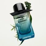 عطر ادکلن مستر بربری المنت بربری - Mr. Burberry Element Burberry - بررسی، قیمت و خرید