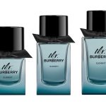 عطر ادکلن مستر بربری المنت بربری - Mr. Burberry Element Burberry - بررسی، قیمت و خرید