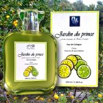 عطر ادکلن ژاردن دو پرنس کریستیان برینک - Jardin Du Prince Cristian Brinck - بررسی، قیمت و خرید