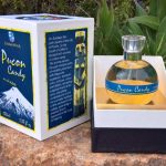 عطر ادکلن پوکِن کَندی کریستین برینک - Pucon Candy Cristian Brinck - بررسی، قیمت و خرید