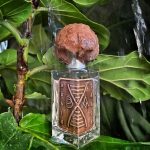 عطر ادکلن بریندنس بروکن آناتومی پرفیومز - Brain Dance Broken Anatomy Perfumes - بررسی، قیمت و خرید