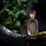 عطر ادکلن سوییت بلوم بدگلی میشکا - Sweet Bloom Badgley Mischka - بررسی، قیمت و خرید