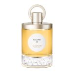 عطر ادکلن اکورد یکصد و نوزده (بیست و بیست و یک) کارن - Accord 119 (2021) Caron - بررسی، قیمت و خرید