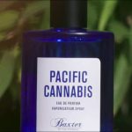 عطر ادکلن پسیفیک کنابیس بکستر آو کالیفرنیا - Pacific Cannabis Baxter of California - بررسی، قیمت و خرید
