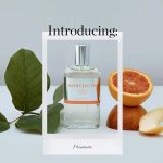 عطر ادکلن مونتسیتو ابوت نیویورک سیتی - Montecito Abbott New York City - بررسی، قیمت و خرید