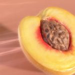 عطر ادکلن پیچ می بل ربل - Peach Me Bel Rebel - بررسی، قیمت و خرید