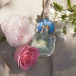 عطر ادکلن وایلد فلاور او دو پرفیوم بتی بارکلی - Wild Flower Eau de Parfum Betty Barclay - بررسی، قیمت و خرید