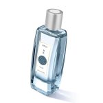 عطر ادکلن اومیزو فور هیم انایاکه - Omizu For Him Annayake - بررسی، قیمت و خرید