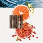 عطر ادکلن اومیزو فور هیم انایاکه - Omizu For Him Annayake - بررسی، قیمت و خرید