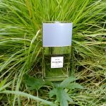 عطر ادکلن چنل نامبر نوزده او دو پرفیوم شانل - Chanel No 19 Eau de Parfum Chanel - بررسی، قیمت و خرید