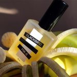عطر ادکلن وای شش اس بلک‌برد - Y06-S Blackbird - بررسی، قیمت و خرید