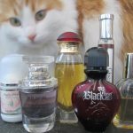 عطر ادکلن شکلات ادوپت پرفیومز - Chocolat Adopt Parfums - بررسی، قیمت و خرید